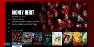 Netflix Download Premium Crack